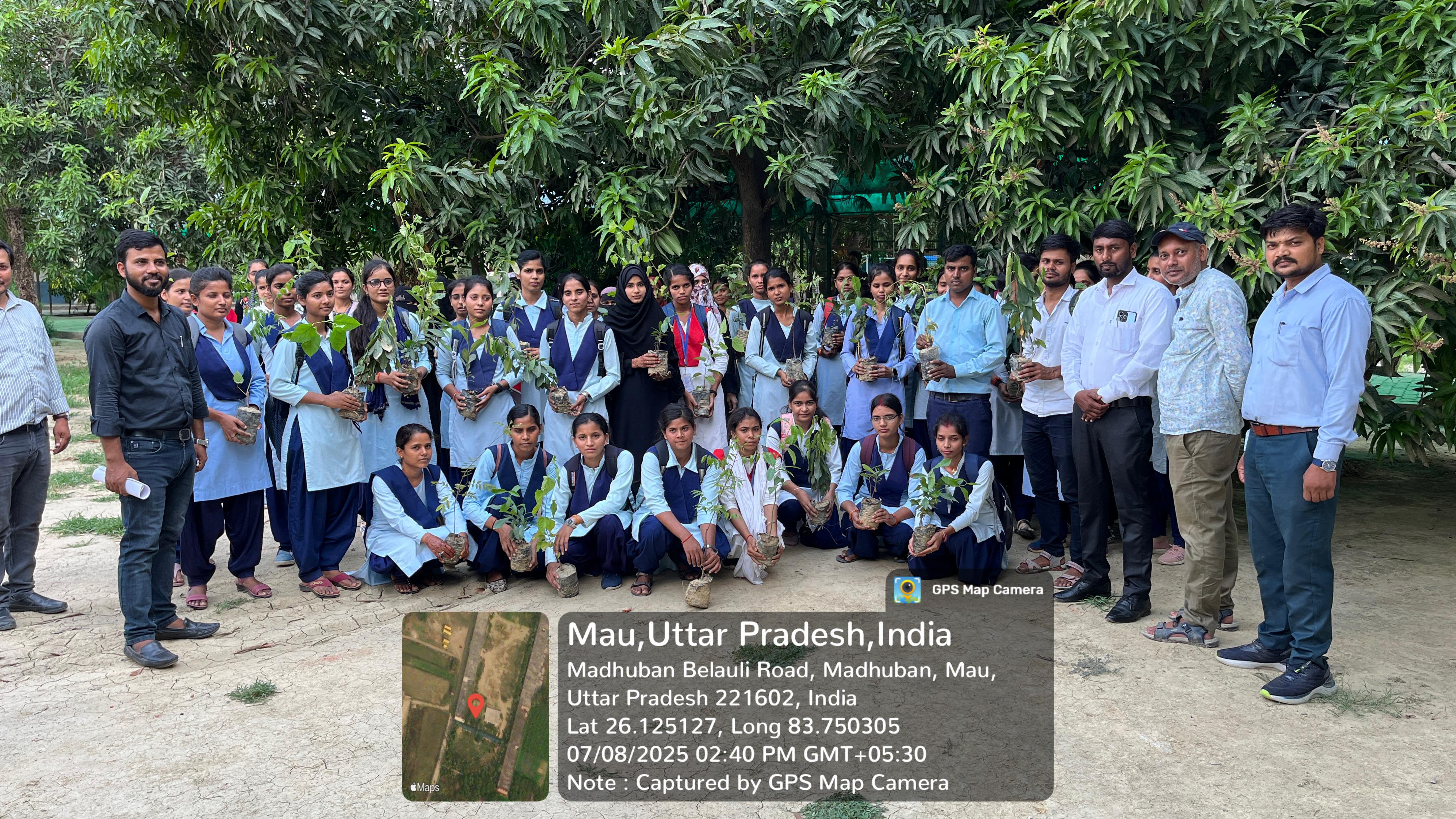 Tree Plantation Programme